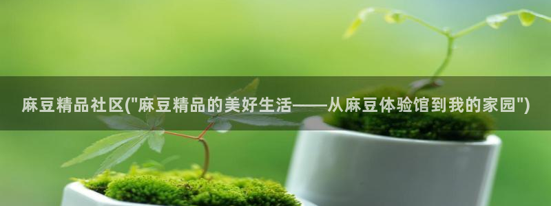 91麻豆国产专区