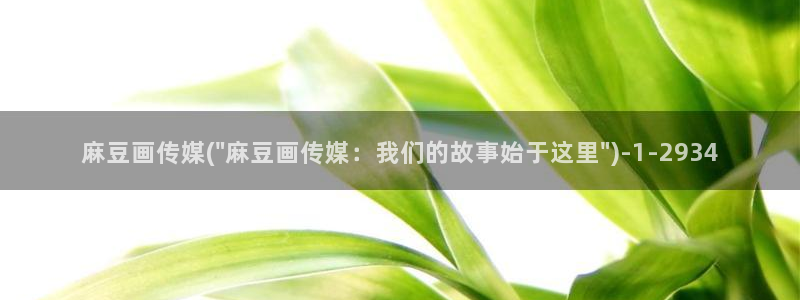 麻豆.com