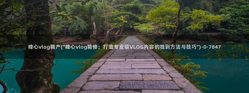 糖心vlog新入口