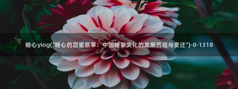 糖心vlog在线观看免费版
