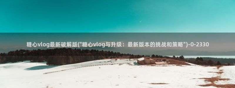 糖心vlog 百度网盘