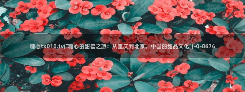 91糖心vlog下载