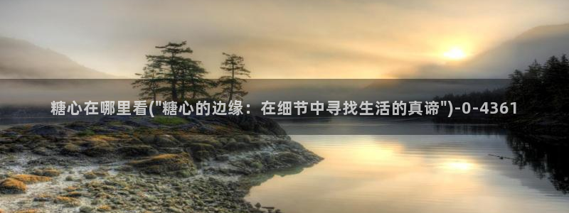糖心vlog破解板：糖心在哪里看(\