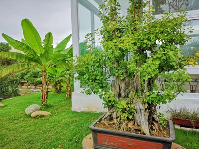 糖心VLGO拍摄技巧作品六