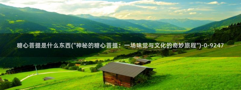 糖心vlog在线观看高清