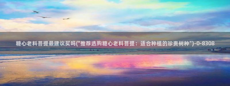 心糖vlog免费版