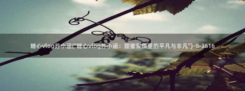 亚洲糖心vlog