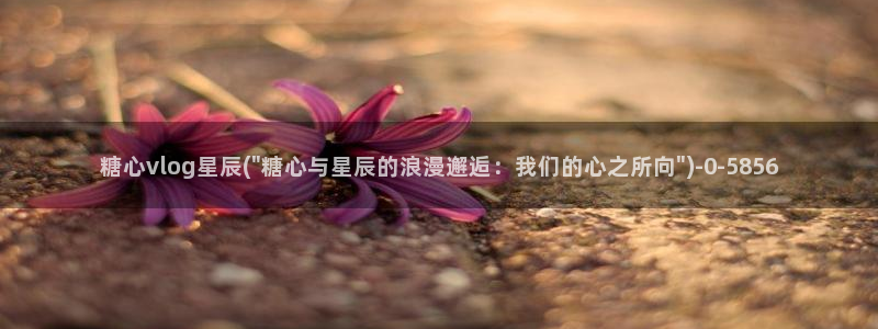 糖心·vlog