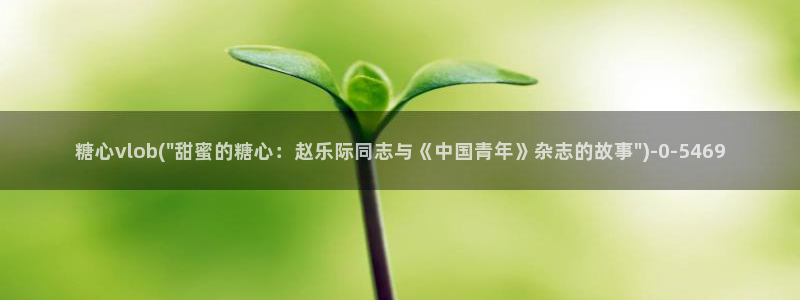 糖vlog日常