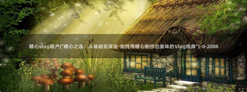糖心vlog精品