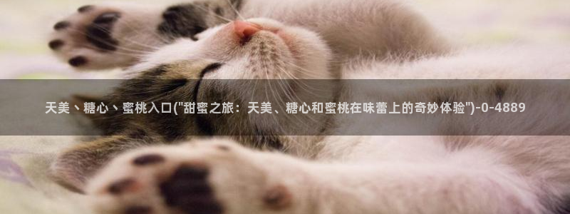 糖心vlog官方在线观看